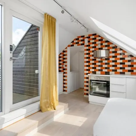 Attic In With Rooftop Terrace