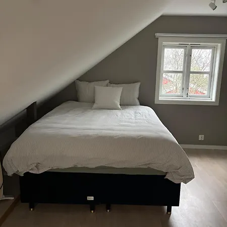Attic In With Rooftop Terrace * オスロ
