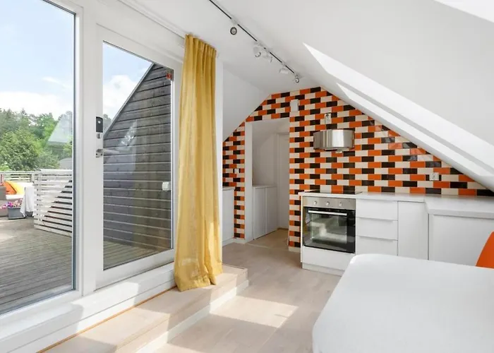 Attic In With Rooftop Terrace