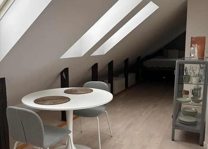 公寓 Attic In With Rooftop Terrace 奥斯陆