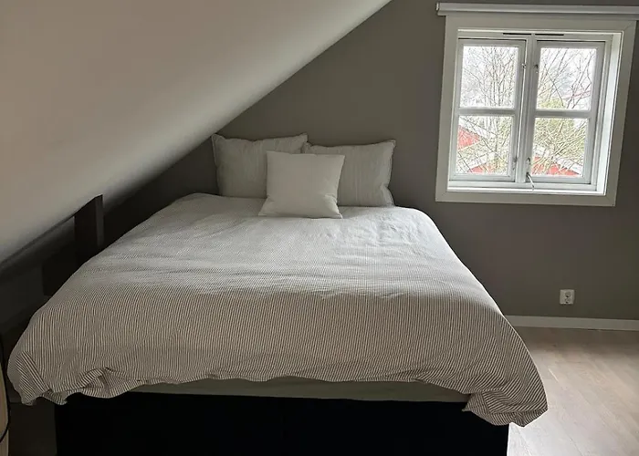 Attic In With Rooftop Terrace * Oslo