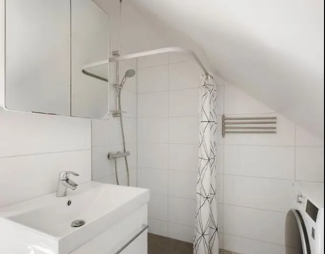 Attic In With Rooftop Terrace