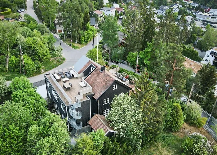 Attic In With Rooftop Terrace *