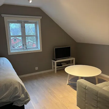 Daire Attic In With Rooftop Terrace