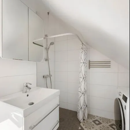 Attic In With Rooftop Terrace