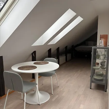 아파트 Attic In With Rooftop Terrace 오슬로